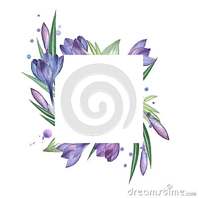 Crocus. Watercolor Floral frame. Cartoon Illustration