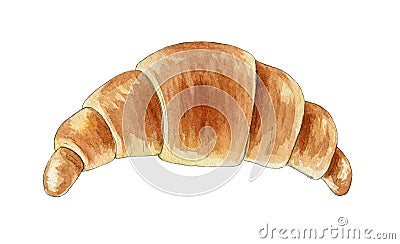 Croissant bun watercolor illustration. Hand drawn morning breakfast tasty bakery. Backed croissant bread element Cartoon Illustration