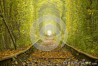 Crooked Rails in the Ukrainian Tunnel of Love in Klevan Stock Photo
