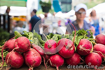 Crop of colorful organically grown radishes Stock Photo