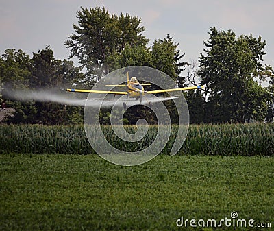 Crop Duster Spraying Bean Field Stock Photo