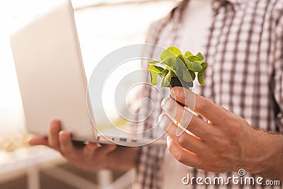 Crop farmer with laptop showing sprout Stock Photo