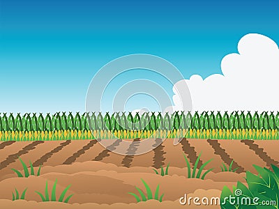 Crop field Vector Illustration