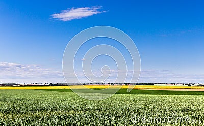 Crop field Stock Photo