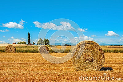 Crop field in Spain with round straw bales after harvesting Stock Photo