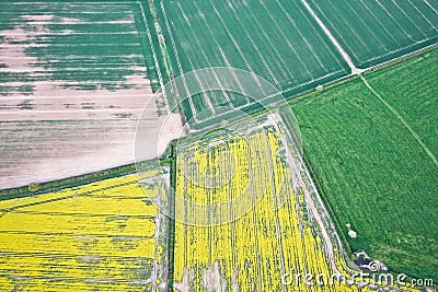 Crop fields Stock Photo