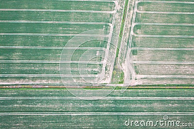 Crop fields Stock Photo