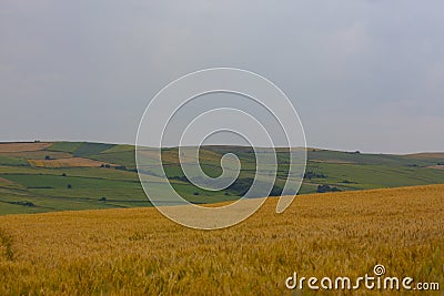 Crop fields on Tekirdag road. Stock Photo