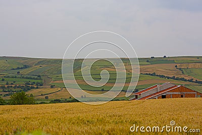 Crop fields on Tekirdag road. Stock Photo