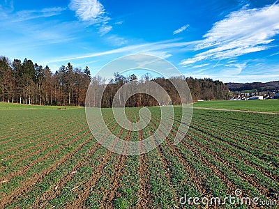 Crop rotation of an agricultural field. Stock Photo