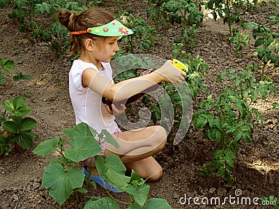 Crop spraying Stock Photo