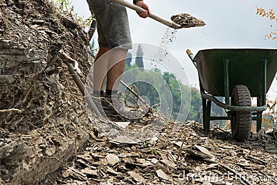 Crop view of young man with shovel moves stones from the road Stock Photo