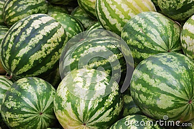 Crop of water-melons Stock Photo