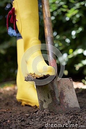 Crop of woman digging in garden Stock Photo