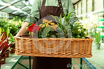 Croped photo of florist woman Stock Photo