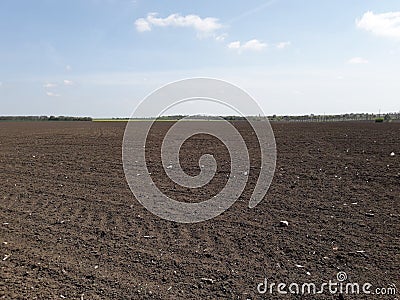 Cropfield Stock Photo