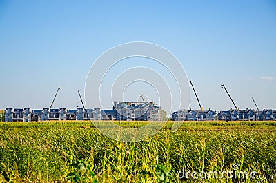 Cropland and Building group Stock Photo