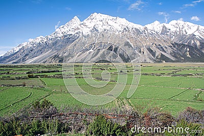 Cropland scenery Stock Photo