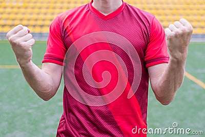Cropped close up photo of excited happy player scoring a goal raising gesturing fists Stock Photo