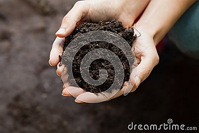Cropped hands of female gardener holding soil Stock Photo
