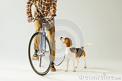 cropped image of bicycler with dog on white Stock Photo