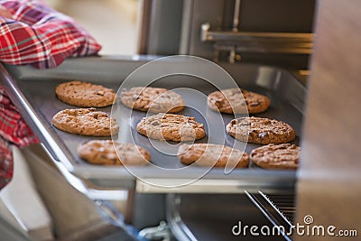 Cropped image of hand removing cookie tray from oven in kitchen Stock Photo
