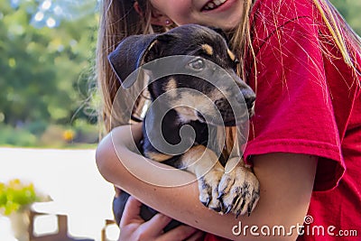 Cropped image of a smiling girl in a red teeshirt holding her puppy Stock Photo