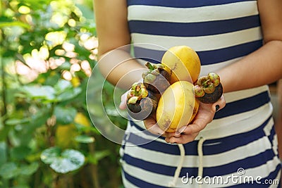 Cropped shot of girl holding exotic fruits. Mangosteen and mango in woman hands. Sunny day in tropical country. Summer holidays Stock Photo