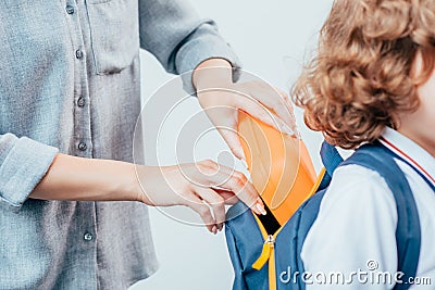 cropped shot of mother packing school lunch Stock Photo