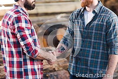 cropped shot of two bearded lumberjacks in checkered shirts shaking hands Stock Photo