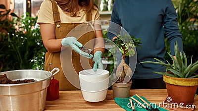 Cropped shot of young couple of gardeners standing near the table, pouring drainage while transplanting house plant into Stock Photo