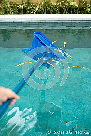 Hands with skimmer net equipment cleaning swimming pool Stock Photo