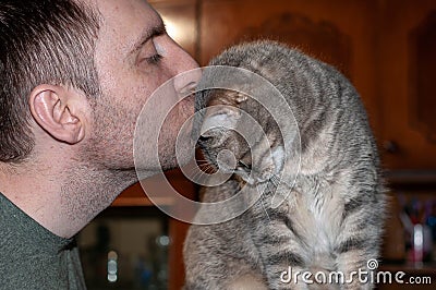 Hansome man kissing forehead cute grey tabby cat at home Stock Photo