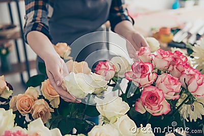Cropped view photo cute charming attractive salesperson woman lady touch plants botany botanical make decor show have Stock Photo