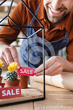 Cropped view of smiling seller holding Stock Photo