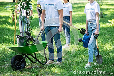 cropped view of volunteers planting trees in green Stock Photo