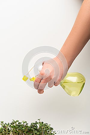 Cropped view of woman holding atomizer Stock Photo