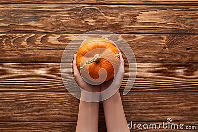 Cropped view of woman holding small ripe pumpkin of wooden surface. Stock Photo