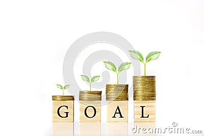 Cropping on coin piles and wood blocks with GOAL messages, financial ideas. Stock Photo