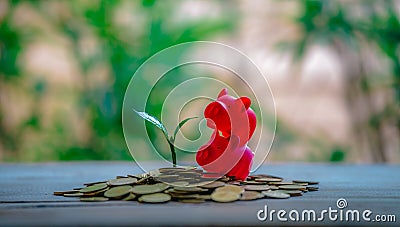 Cropping on coins - investment ideas for growth Stock Photo