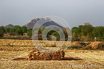 Small private fields with ponds for irrigation, roads and boundary wood belt Stock Photo