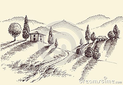 Crops and hills hand drawing Vector Illustration