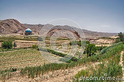 Crops in Iran Stock Photo