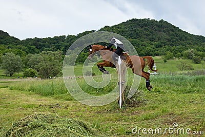 Cross Country Horse race Editorial Stock Photo