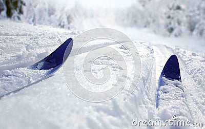 Cross Country Ski Stock Photo