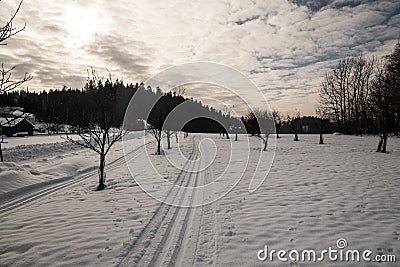 Cross-country skiiing track with trees, few houses and blue sky with clouds Stock Photo