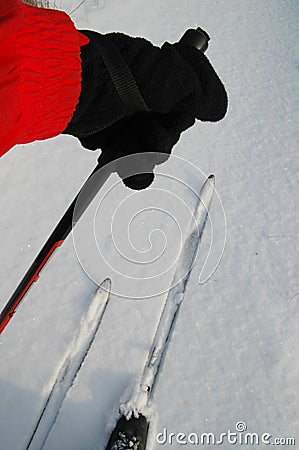 Cross-country skiing Stock Photo