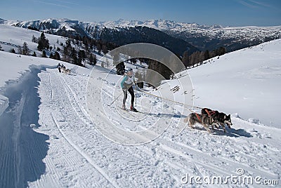 Cross-country skiing in Alps with two huskies Editorial Stock Photo