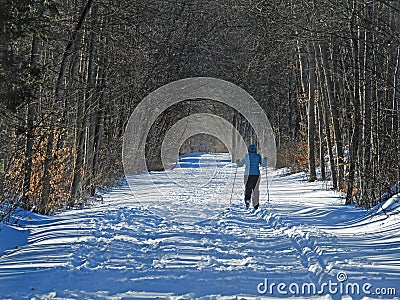 Cross country skiing Schug Trail Dryden LAke Stock Photo