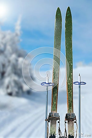 Cross country skiing on a sunny winter day Stock Photo